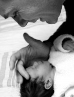 /album/mes-pixels-au-pluriel/img-9042-jpg/