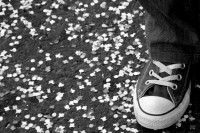 /album/mes-autres-pixels-/img-8191-jpg/